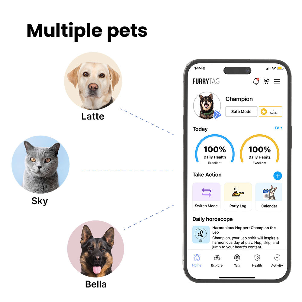 Silver QR Code Pet ID Tag
