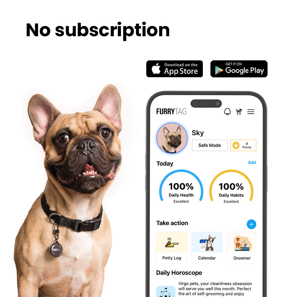 Black QR Code Pet ID Tag