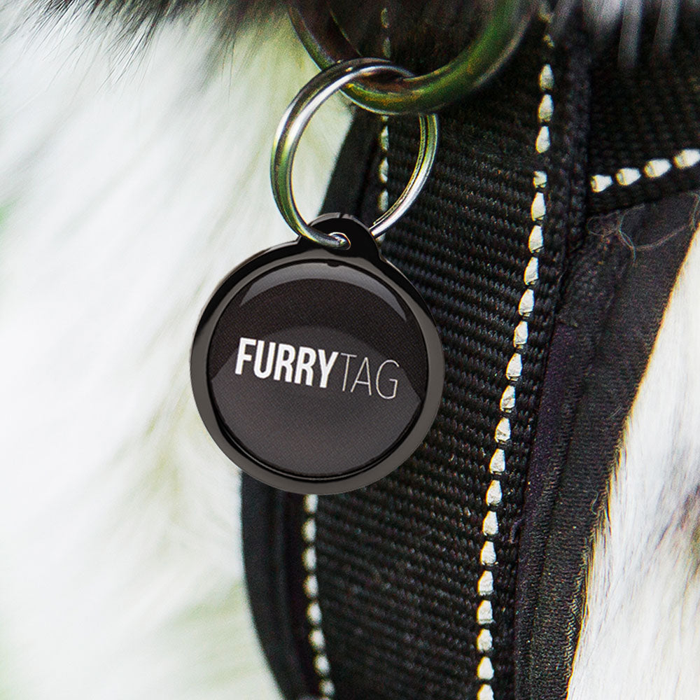 Black QR Code Pet ID Tag