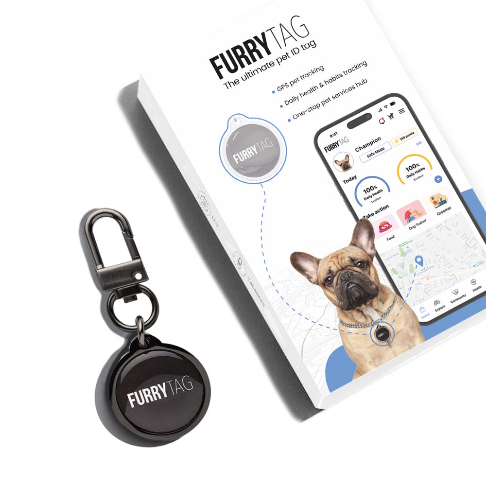 Black QR Code Pet ID Tag